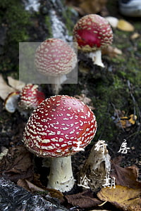 工行房貸逾期無欠款證明(銀行出證明能解決逾期貸款嗎)