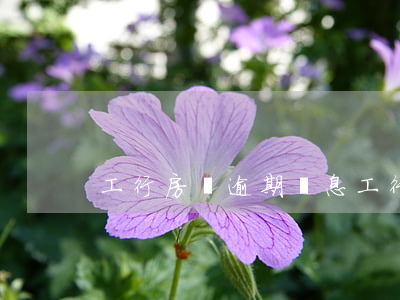 工行房貸逾期罰息 工行逾期罰息利率標準