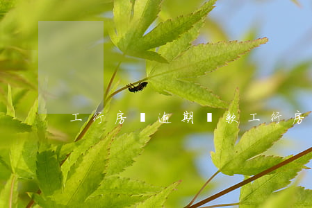 工行房貸逾期還款(工行房貸逾期還款)