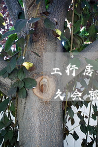 工行房贷逾期几次会被起诉(工商房贷逾期多久会被起诉)