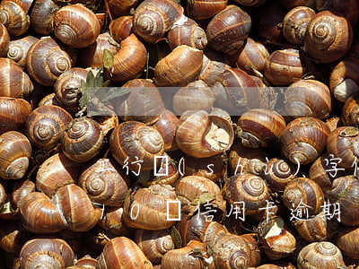 工行數(shù)字信用卡能逾期多久(工行10萬信用卡逾期)