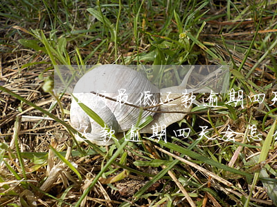 工行最低还款逾期四天会怎么样-工行最低还款逾期四天会怎么样处理