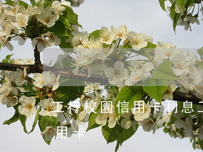 工行校園信用卡利息(工行 學(xué)生信用卡)