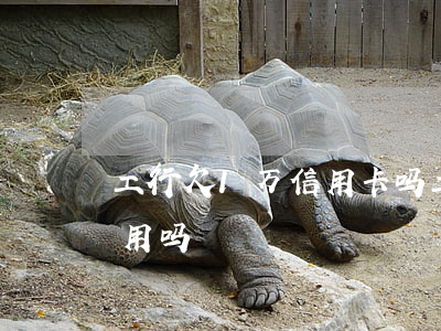 工行欠1万信用卡吗(工行欠1万信用卡吗能用吗)