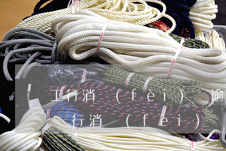工行消費(fèi)貸逾期多久會被起訴-銀行消費(fèi)貸款逾期多久會被起訴