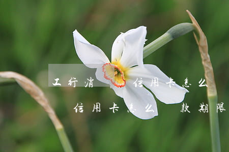 工行消費貸信用卡怎么還款期限-工行消費貸信用卡怎么還款期限長