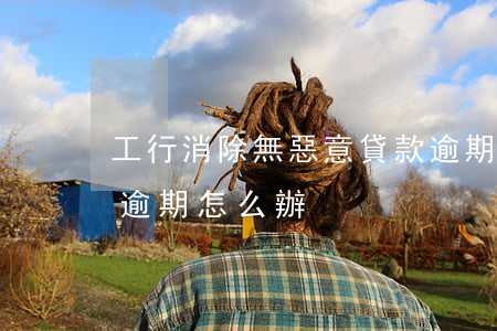 工行消除無惡意貸款逾期(疫情期間工行貸款逾期怎么辦)