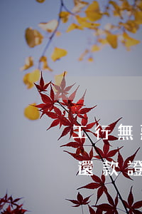 工行無惡意逾期還款證明(銀行不是惡意逾期還款證明)