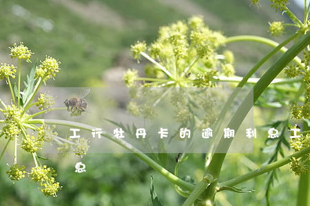 工行牡丹卡的逾期利息(工行牡丹卡的逾期利息)