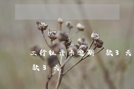 工行牡丹卡逾期還款3天(工行牡丹卡逾期還款3天)