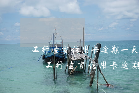 工行生肖信用卡逾期一天有問(wèn)題嗎(工行生肖信用卡逾期一天有問(wèn)題嗎嗎)