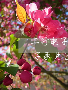 工行电子承兑逾期说明在哪里填写-工行电子承兑逾期说明在哪里填写的