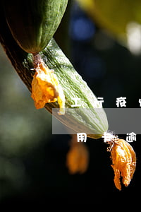 工行疫情期間信用卡逾期費用(今年疫情期信用卡逾期起訴)