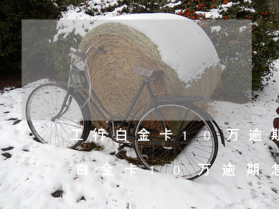 工行白金卡10万逾期怎么协商还款-工行白金卡10万逾期怎么协商还款呢