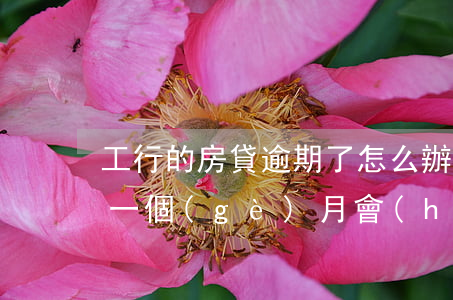 工行的房貸逾期了怎么辦(工商銀行房貸逾期一個(gè)月會(huì)有什么后果)