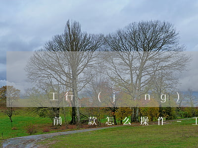 工行經(jīng)營(yíng)快貸提前還款怎么操作-工行經(jīng)營(yíng)快貸提前還款怎么操作的