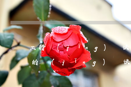 工行經(jīng)營快貸逾期了一天(工行的經(jīng)營快貸多久出結(jié)果)