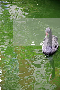 工行網(wǎng)絡(luò)貸款經(jīng)營(yíng)快貸還款操作-
