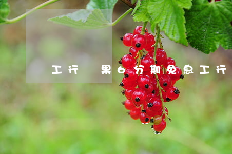 工行蘋果6分期免息(工行蘋果6分期免息)