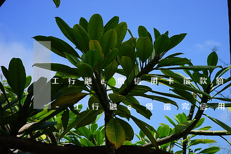 工行融e借信用卡還款額度不恢復(fù)-工行融e借還完信用卡額度能恢復(fù)么?