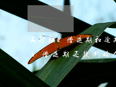 工行融e借延期和逾期有什么区别-工行融e借延期还款影响个人征信吗