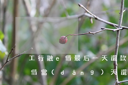 工行融e借最后一天還款可以嗎-工行融e借當(dāng)天還清當(dāng)天還可以借嗎