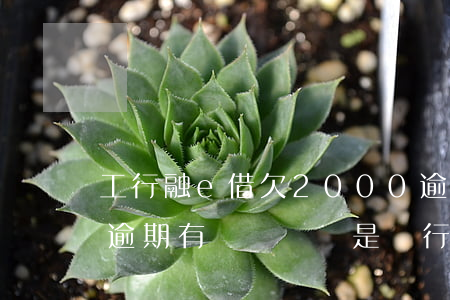 工行融e借欠2000逾期6年(工行融e借逾期有電話來說是銀行委托的律師)