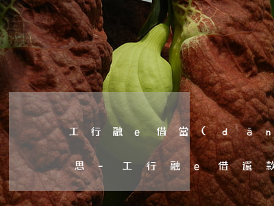 工行融e借當(dāng)期還款是什么意思-工行融e借 還款