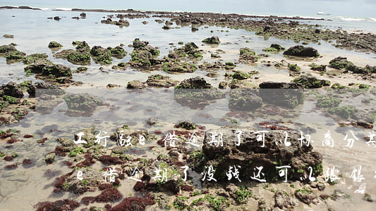 工行融e借逾期了可以协商分期吗-工行融e借逾期了没钱还可以跟银行协商吗
