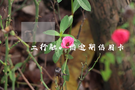 工行融e借逾期信用卡還能用嗎