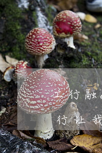 工行融e借逾期几天起诉(工商融e借逾期银行让我一次性还清)