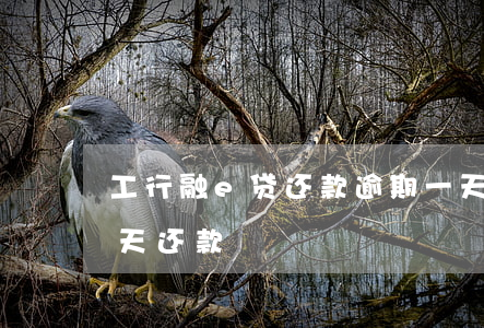 工行融e贷还款逾期一天(工行融e借晚了一天还款)