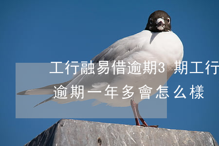 工行融易借逾期3期(工行融e借欠了一萬多,逾期一年多會怎么樣)