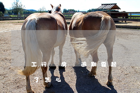 工行說房貸逾期要起訴(銀行房貸逾期被起訴了怎么辦)