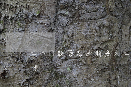 工行貸款最高逾期多久(工商銀行貸款最長年限)