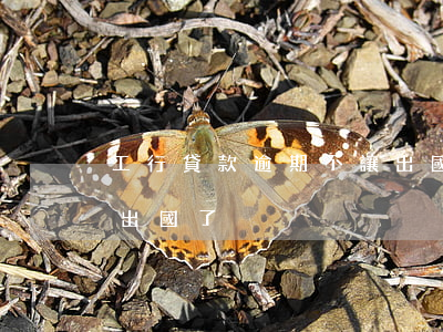 工行貸款逾期不讓出國了(工行貸款逾期不讓出國了)