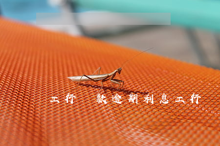 工行貸款逾期利息(工行貸款逾期利息)