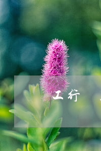 工行貸款逾期利息怎么算(貸款逾期利息計算)