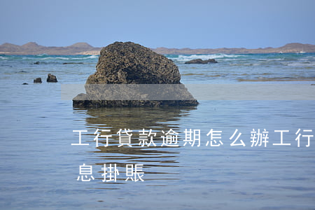工行貸款逾期怎么辦(工行貸款逾期怎么辦停息掛賬)