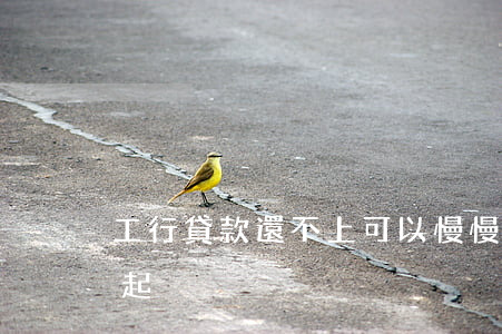 工行貸款還不上可以慢慢還嗎（工行貸款還不起）