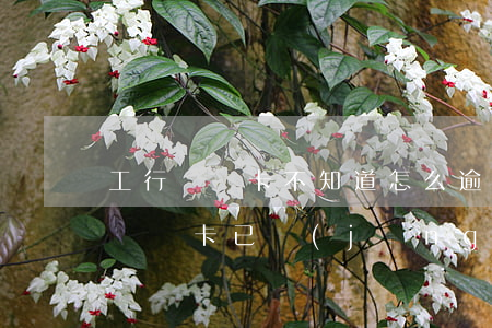 工行貸記卡不知道怎么逾期60天(工商銀行貸記卡已經(jīng)逾期了五天怎么辦)