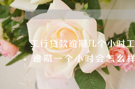 工行贷款逾期几个小时(工商银行还房贷还款逾期一个小时会怎么样)