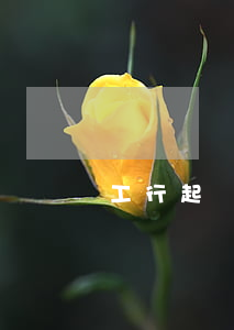 工行起訴網(wǎng)貸 工行起訴會怎么樣