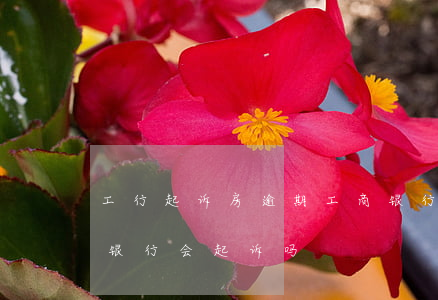 工行起诉房逾期 工商银行的房贷逾期五个月银行会起诉吗