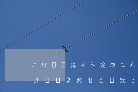 工行車貸信用卡逾期三天(工行車貸逾期3個月賬戶突然自己還款了)