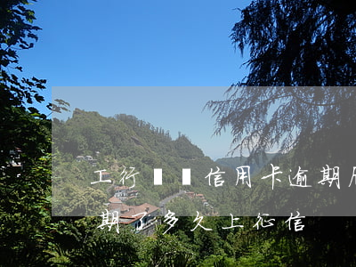 工行車貸信用卡逾期后果(工商銀行車貸卡逾期了多久上征信)