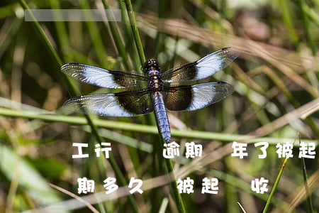 工行車貸逾期兩年了被起訴(工商銀行車貸逾期多久會被起訴收車)