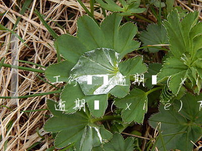 工行車貸逾期協(xié)商還款(工行車貸逾期協(xié)商還款)