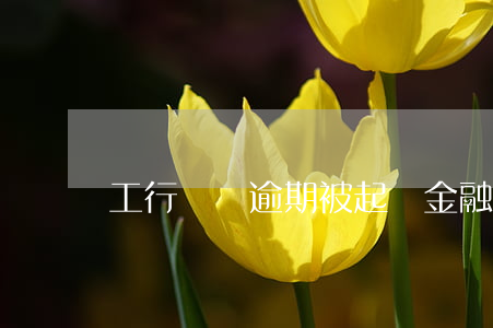工行車貸逾期被起訴(金融公司車貸逾期起訴)