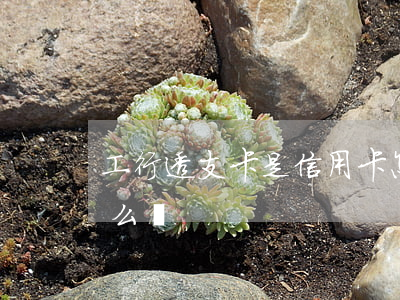 工行透支卡是信用卡怎么辦(工行的信用卡怎么還)